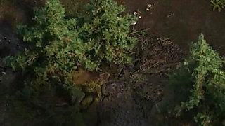 The Genesis Order V21041 Part 47 Pool Party by Loveskysan69