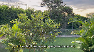 Stranger Ebony MILF With Huge Boobs Seduces Me And Rides My Dick Raw - Danyel Mast & Carla Morelli