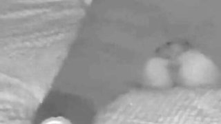 Amateur Couple Came From a Party, a Girl with a Big and Juicy Ass Wanted to Fuck a Guy