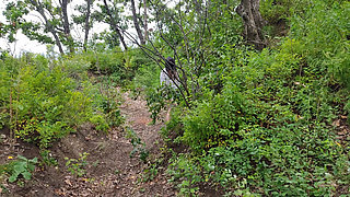 Without Pants in the Cold Forest