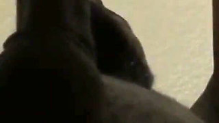 Perfect Lips-cum in Mouth Compilation Prt.4