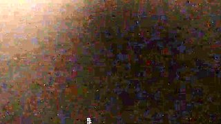 Amateur couple hidden cam