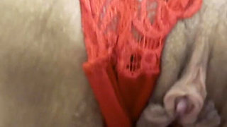 Fucking with Panties on the Side