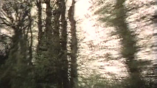 Erotic Threesome (1975)