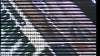 Black babe and dude have hardcore fuck on the carpet