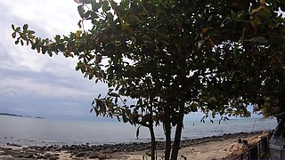 Motobike ride for Thai GF and home sex