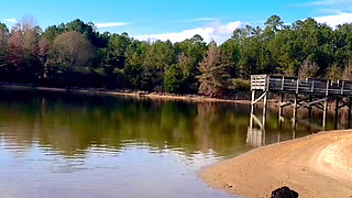 EBONY COUGAR TWERKING ON THE BEACH IN A SWIMSUIT