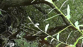 Cruising and Sex on the Beach. Elena De La Vega Has Sex with a Stranger in Public on Fakings