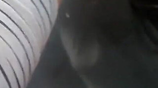 Outdoor Sex on the Car