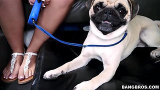 Cute Blondie Gets Tricked on the Bus