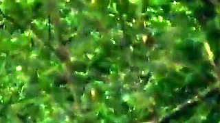 Dansk udendrs sex med Christa