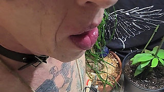 Goode Girl Ties Hubby's Balls and Cock and Has Foot Fun with Him