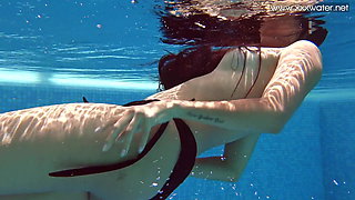 Andreina De Luxe hot Latina in the pool