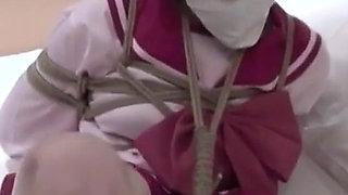 Binding Appreciation #9