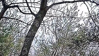 Risky Female Peeing and Masturbation in the Forest