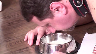 Suck this full of cum condom slave