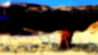 Sexy Couple's Public Beach Adventure