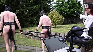 Lady Scarlet - Lady Scarlet - A Ride In The Carriage Hd