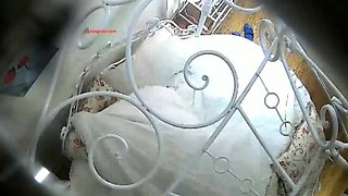 Amateur couple Hidden Cam Submissive girl