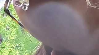 Her Crazy Matches Mine Full Movie