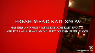 Freshmeat Review a Presentation of Kait Snow