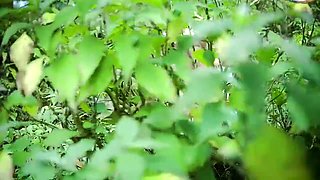 Property Dikha Ne Ke Bahane Jungle Me Leja Kar Akali Larki Ke Sath Kia Kand Full Movie ( Hindi Audio)