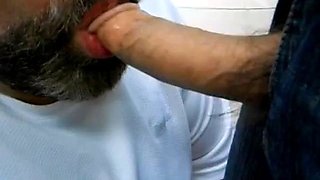 Amateur Bear Daddy Sucking Cock