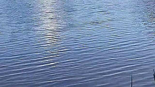 Paradise Fucking with the Best View in the World with the Man I Love Most for Life.