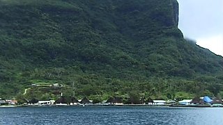 Brunette slut pov blowjob in close up HD