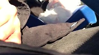 Amateur public sex during a picnic