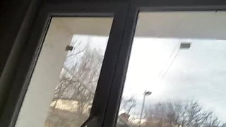 Big Ass Teen Babe ThequeenofSatan Solo Horny Amateur