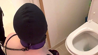 Head in the Toilet...