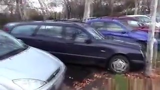 Pulled Eurobabe Facialized Outdoors After Car Fuck