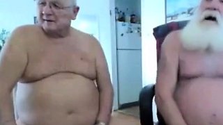 Two Silver Foxes Play on Cam