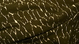 Teacher Fuck Her Student and Accedentally Creampie