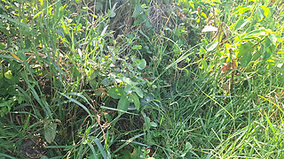 Naughty Redhead Caught Having Sex on Guarujá Beach