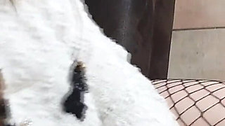 Balls Emptying: Handjob, Ruined Orgasm & Cum on My Fishnets - Dame Olga 1080p (051b)