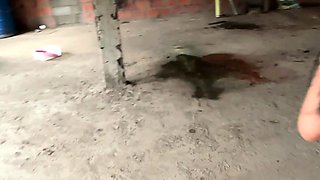 Amateur blowjob close up