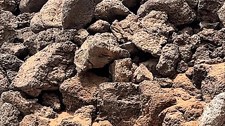 Risky Beach Pee Compilation