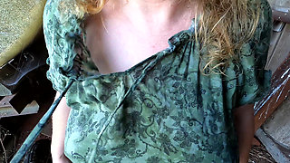 Red Tits in the Shed