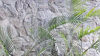 POV Your in Paradise with Queenie