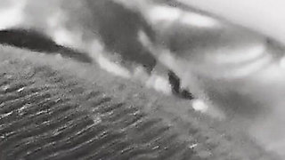 Riding Monster Stapon