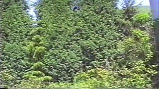 Cum Sluts - Hardcore Pussy Sluts Screaming In Cum Flood Orgies