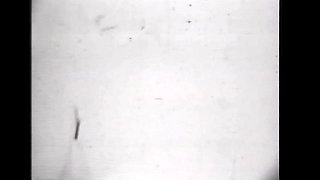 Black and White Sexual Madness