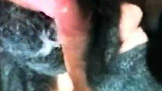 Mature Amateur Loves Cum in Her Mouth