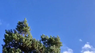 Getting Fucked Doggy-style in a Nature Reserve