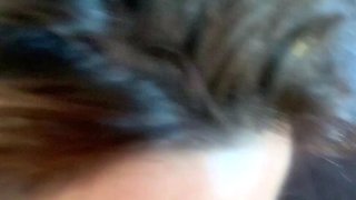 Nice amateur Blowjob and Handjob